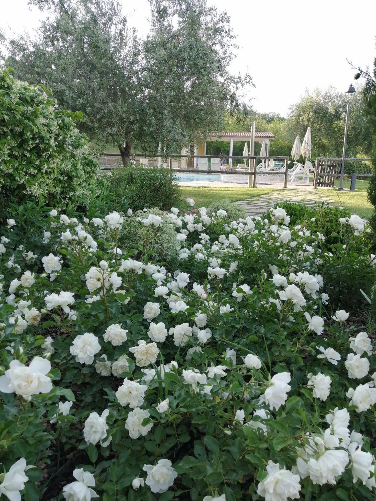 Agriturismo Villa Beatrice Mondavio Luaran gambar